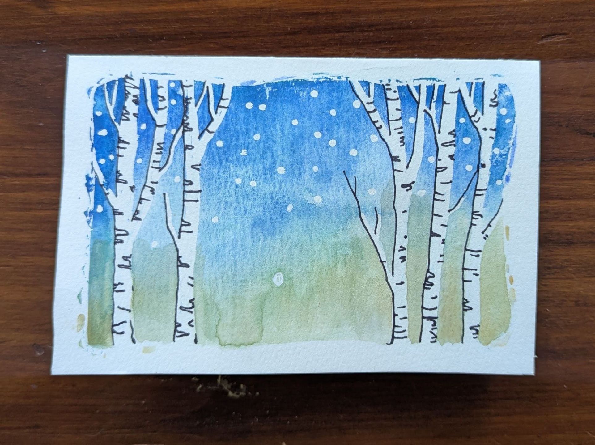 Winter%20Watercolor%20subject%202.jpg